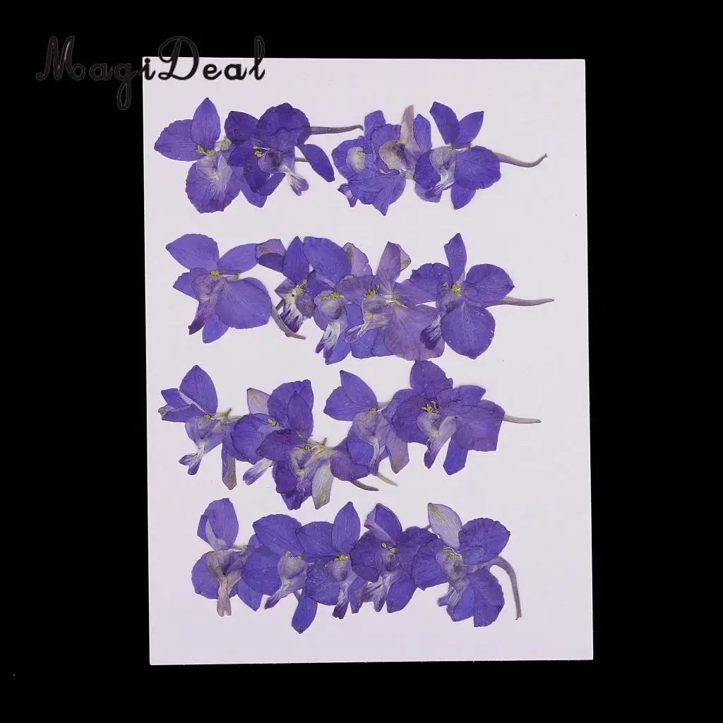 10 / 20Pcs Beautiful Real Pressed Rose Petal Babysbreath Flowers Dried Flowers for Art Craft Scrapbooking DIY Resin Jewelry