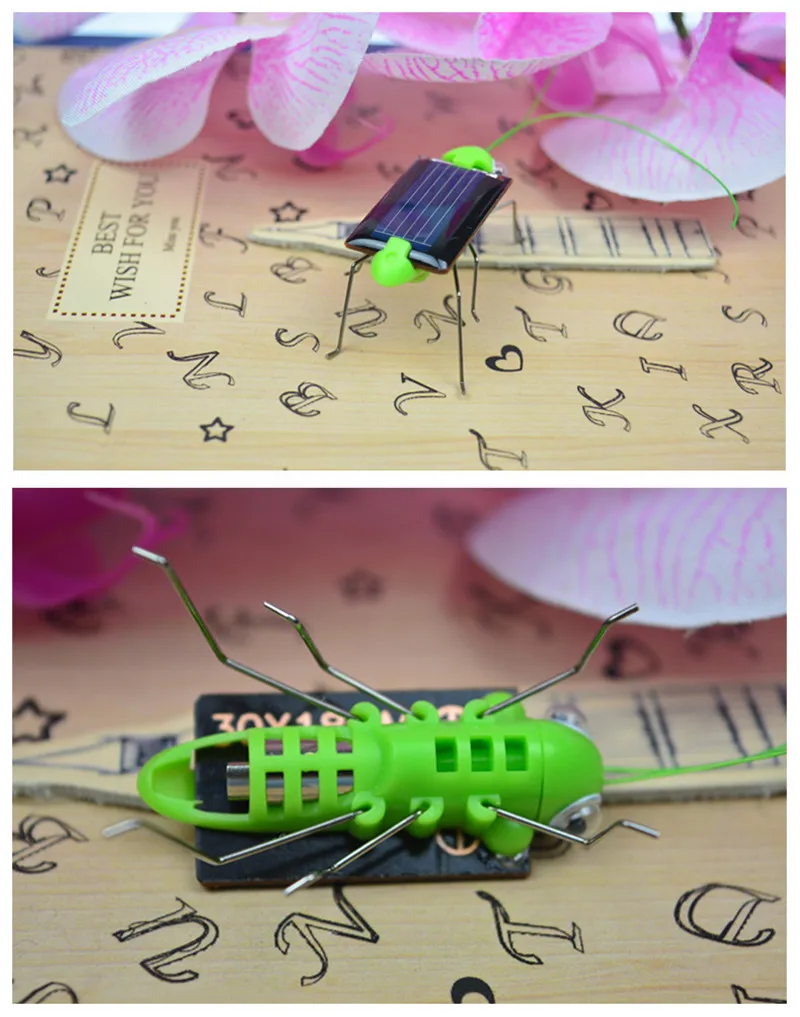 funny toy (3)