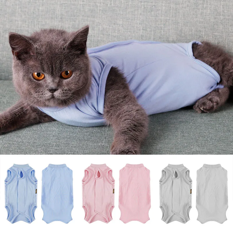 Cat Recovery Suit for Abdominal Wounds or Skin Diseases ...