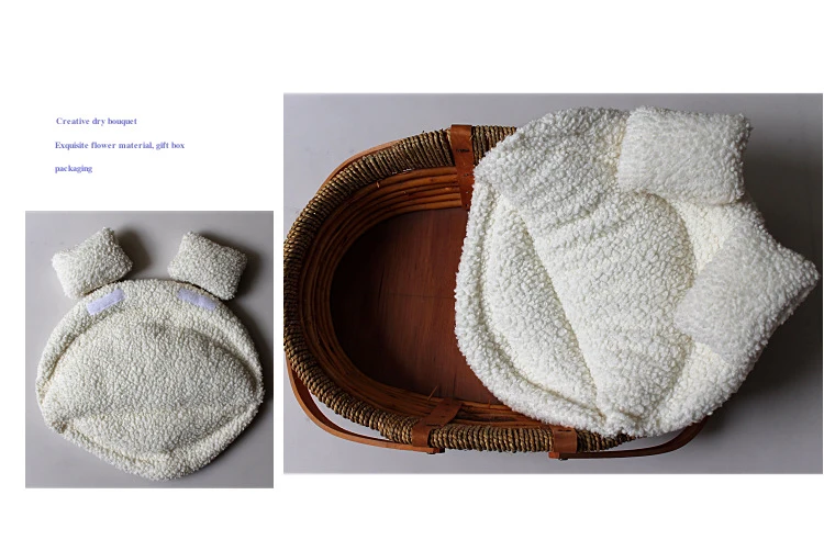 couverture photographie newborn