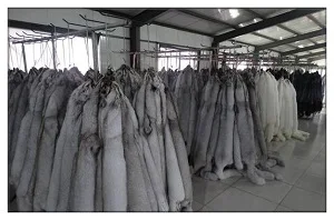 

natural real color factory price blue fox fur skin/ pelt