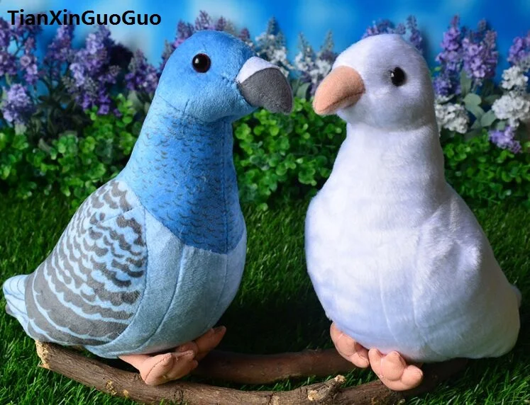 dove soft toy