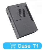 T1