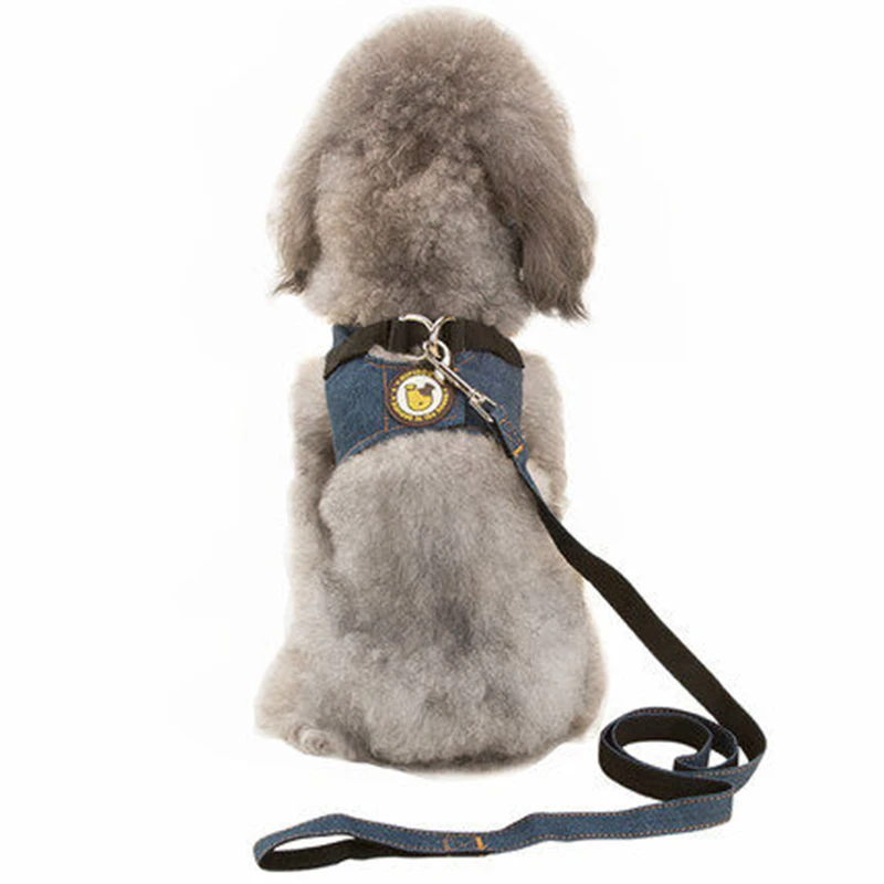 dog clothes (9)