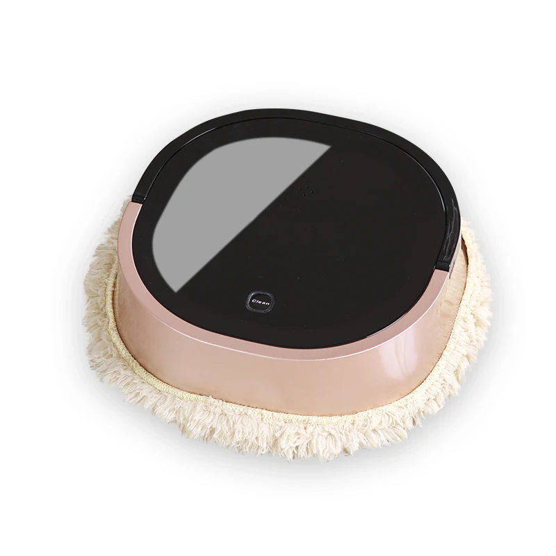

Robot Vacuum Cleaner dry sweeping and wet mopping for Wood Floor Home Automatic Sweeping