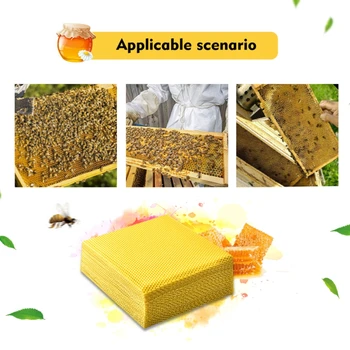

Natural Beeswax Honeycomb Base Garden Beeswax Sheet for Beekeeping Bee Nest Base Garden Beekeeping Accessories 1/5/10/50pcs