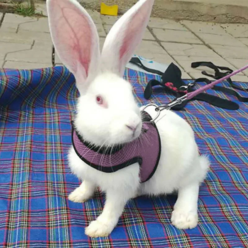 

New Black Rabbit Leash Lead Vest Small Animals Mesh Cotton Collars Cat Hamster Red Harnesses S M L Harness Leash Pet Strap