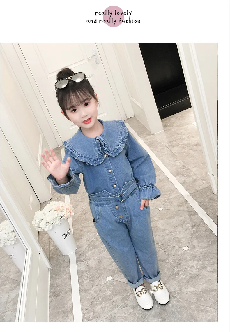 36020181224100017605_ -  -  (8) -  -  -  -  -  -  - 