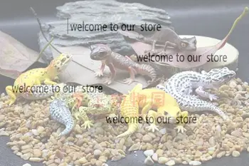 

pvc figure Leopard Guardian tail lizard reptile model 6pcs/set