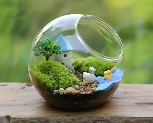 Aliexpress.com : Buy Mkono Glass Vase Air Plant Terrarium Aliexpress.com : Buy Mkono Glass Vase Air Plant Terrarium Airplants Container Succulent Terrariums Plants Planter Table Display Decorative, Globe from ... - Aliexpress.com : Buy Mkono Glass Vase Air Plant Terrarium