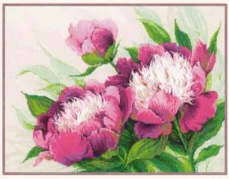 cs-2208 Cross Stitch Kit Pink Peonies Peony Flower Flowers