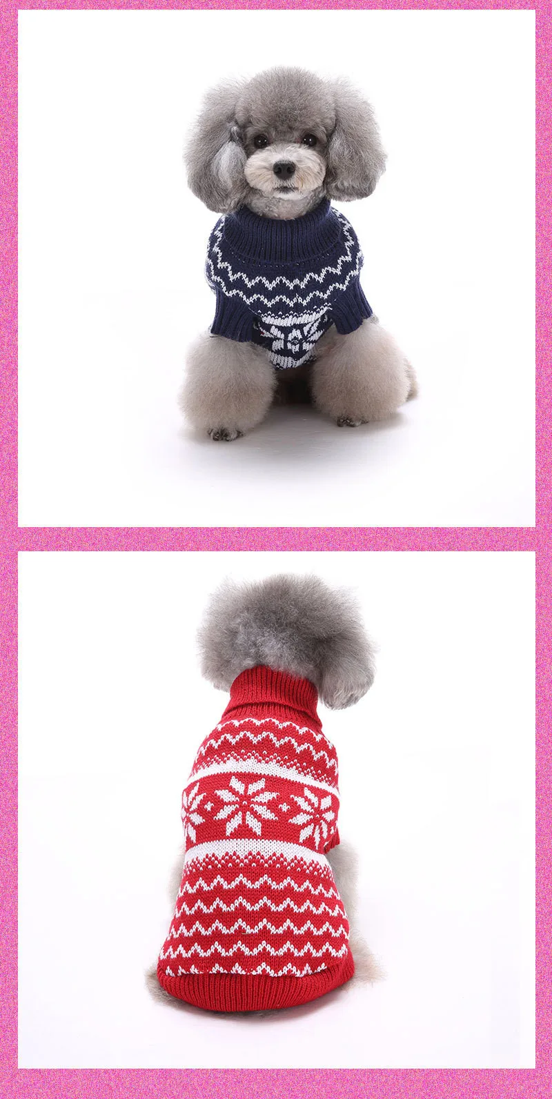 dog clothing17