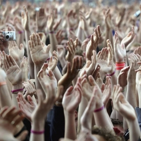 Crowd Of Music Fans Waving Their Hands Poster Print (20 x 11)