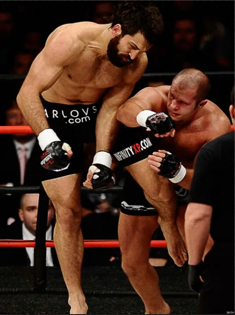 Fedor-Emelianenko-vs-Andrei-Arlovski-Knockout-MMA-Wall-Stickers-Art-Huge-Print-Poster-TXHOME-D6714.jpg_640x640.jpg