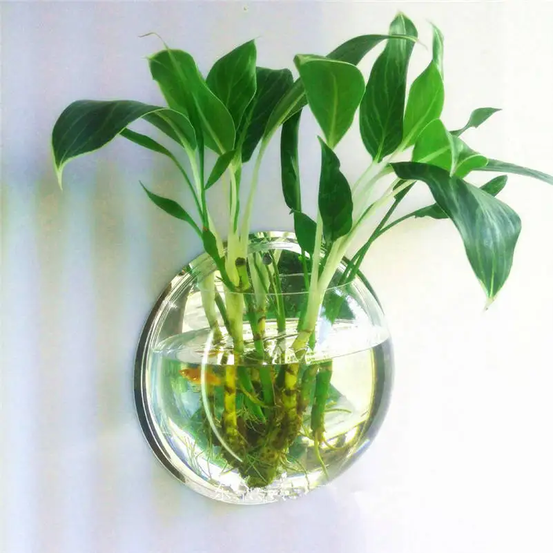

Transparent Wall Hanger Organizer Acrylic Hanging Bubble Bowl Aquarium Plant Grass Fish Tank Flower Vase Home Decoration