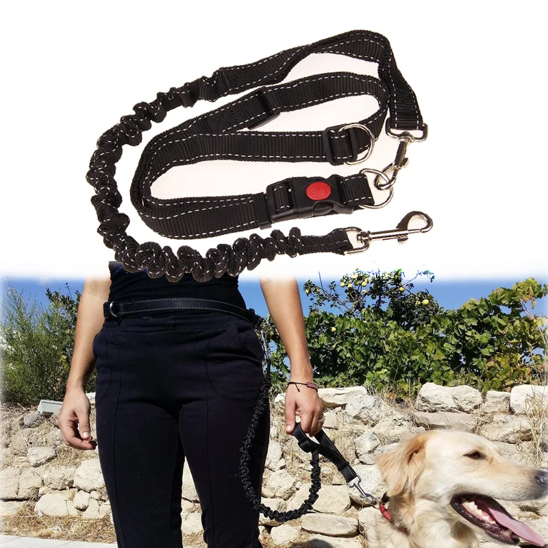 

Hands Free Elastic Dog Leash Pet Harness Nylon Adjustable Running Jogging Waist Belt Safety Pet Training Supplies