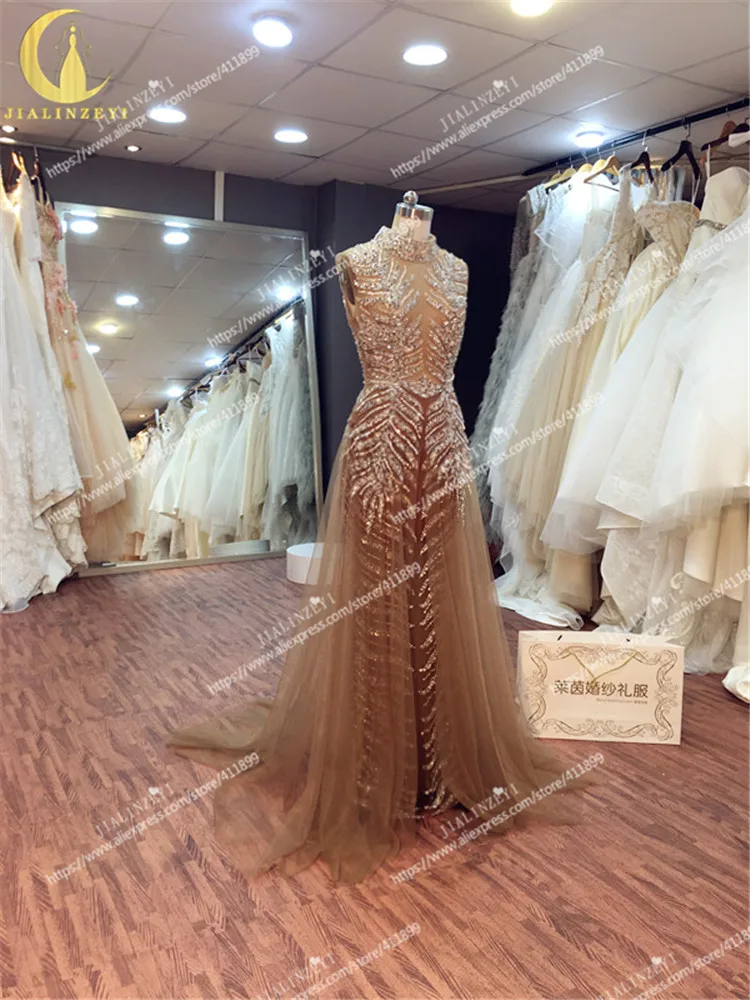 LY558 (1)