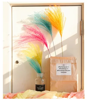 

50cm Natural Dried Flowers Reed Flower Bouquet for Wedding Home DIY Decoration Photography Backdrops Shooting Photo Adornment