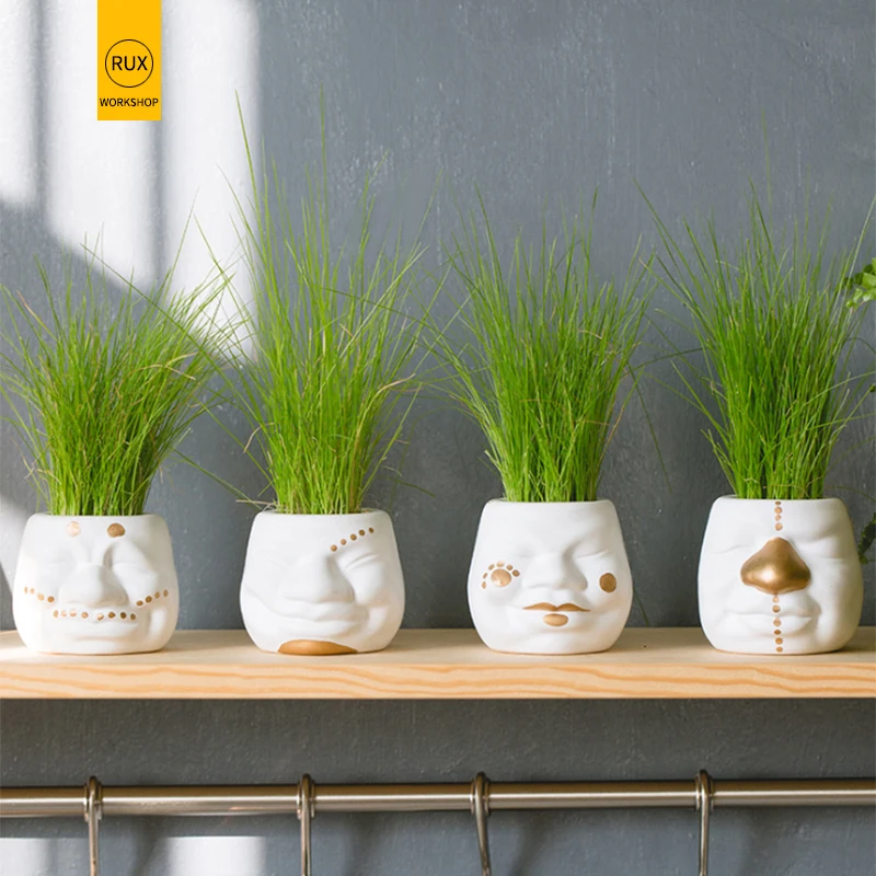 

RUX WORKSHOP DIY Mini White Gold Face Shape Ceramic flower pot Desktop plant fleshy flower pot Potted decoration