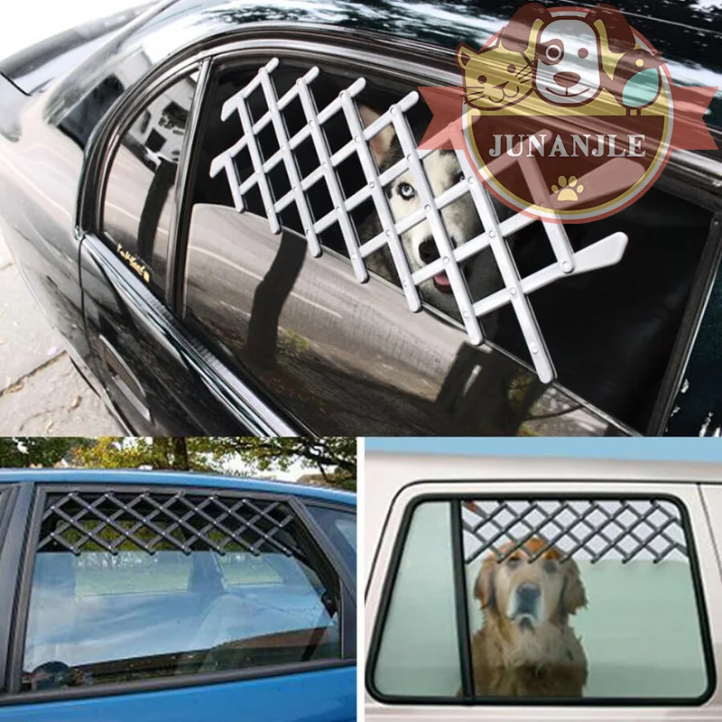 Why Did My Dog Jump Out Of The Car Window