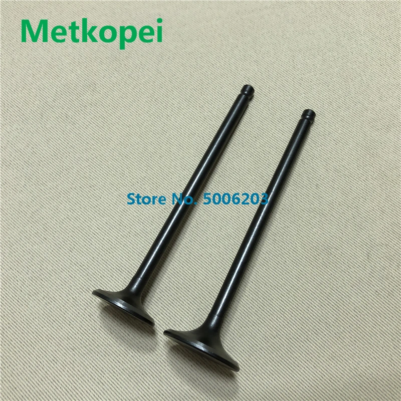 EN125 engine valve with guide (8)