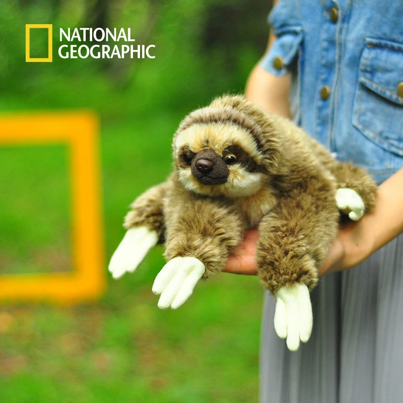 national geographic sloth plush