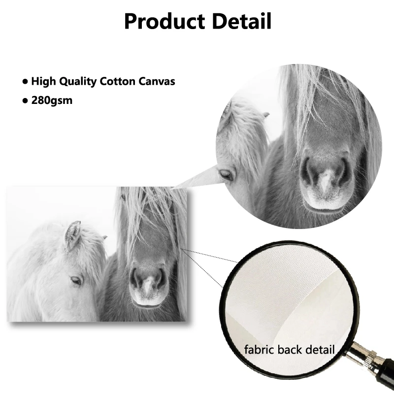 Black and White Wild Horse Poster Wall Decor Detail Picture