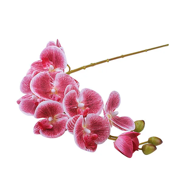 Высокое качество бабочка Орхидея искусственный фаленопсис латекс орхидеи цветок для свадьбы красота дома Свадебные цветы* D