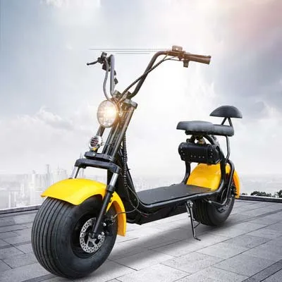 

Citycoco Electric Scooter Motorcycle Cycling Bicycle 2Ah Lithium Battery Double Brake Customizable Fenders Brushless Motor