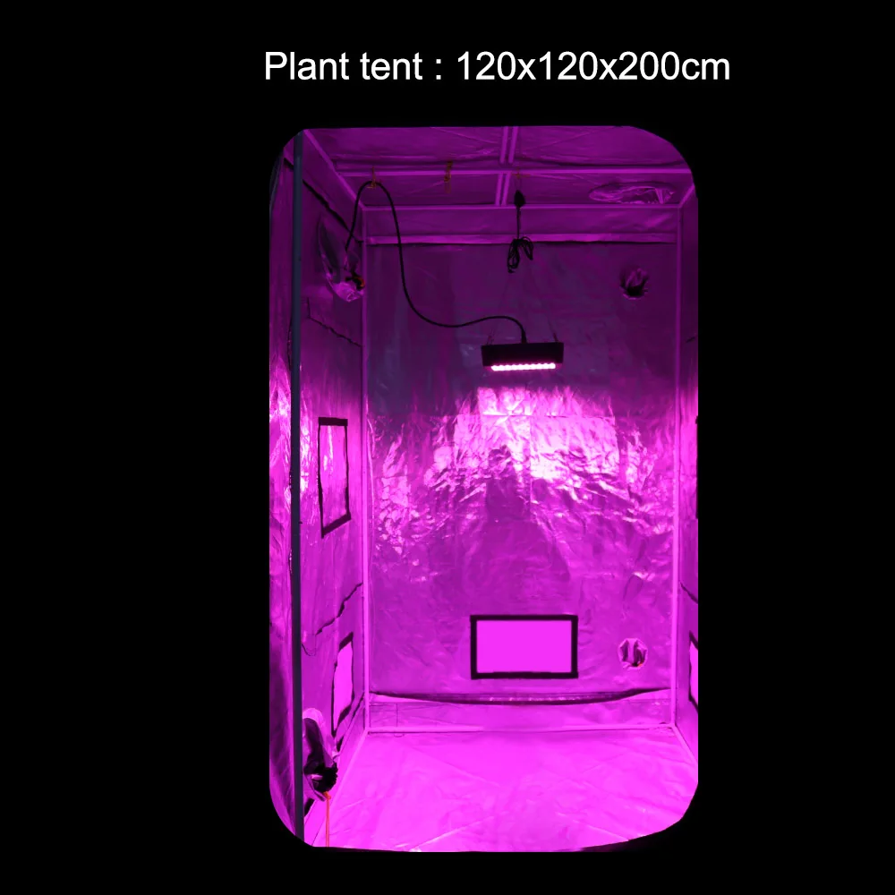 Wattshine Full spectrum 300W grow lamp 16 bands No rust Intelligent Temperature control Safety Energy saving Certification CE  (32)