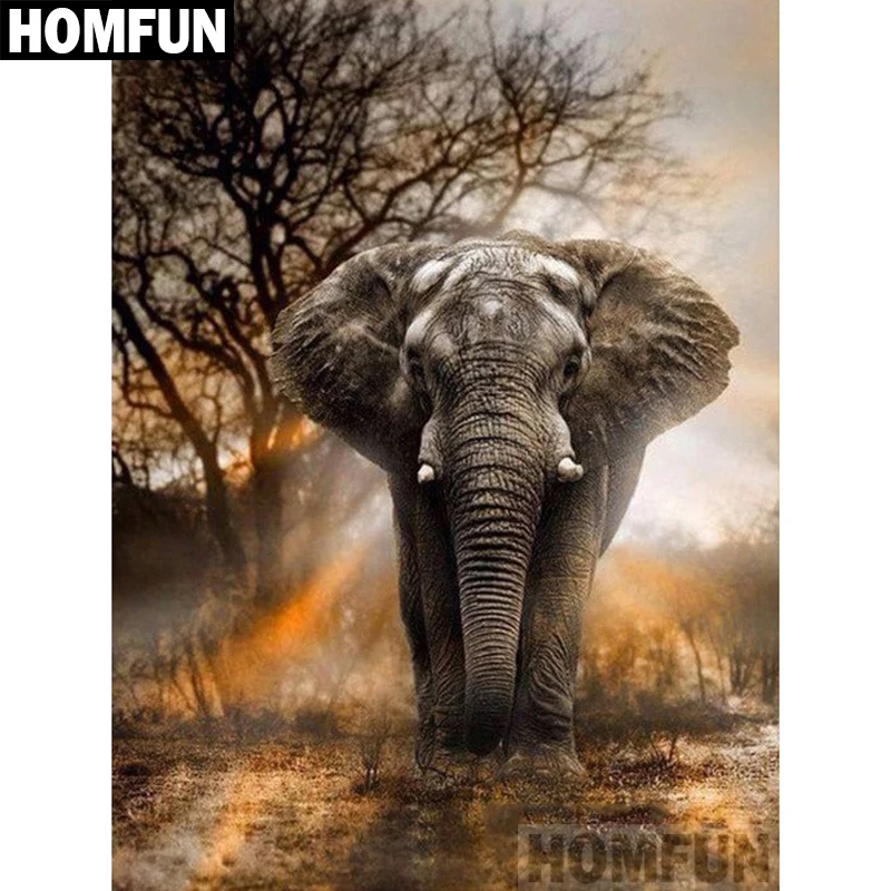 A02357 Sunset elephant