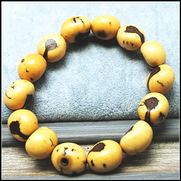 natural plant nuts wooden bracelets plant seeds powerful bracelets