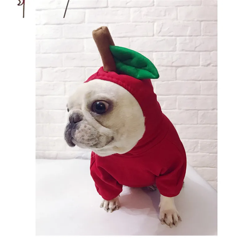 quentes bulldog francês algodão jaqueta natal animal