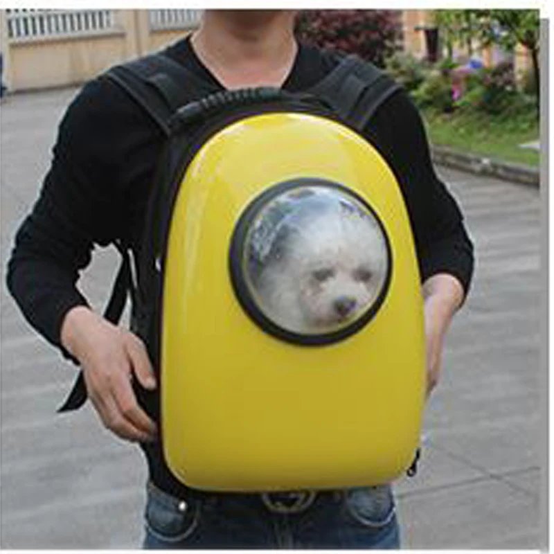    Space Pets