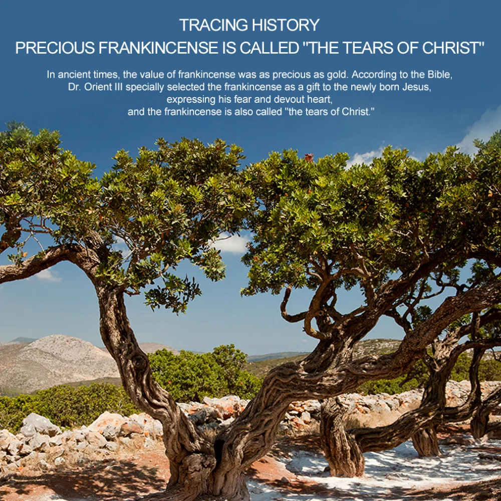 Frankincense essential oil (5)
