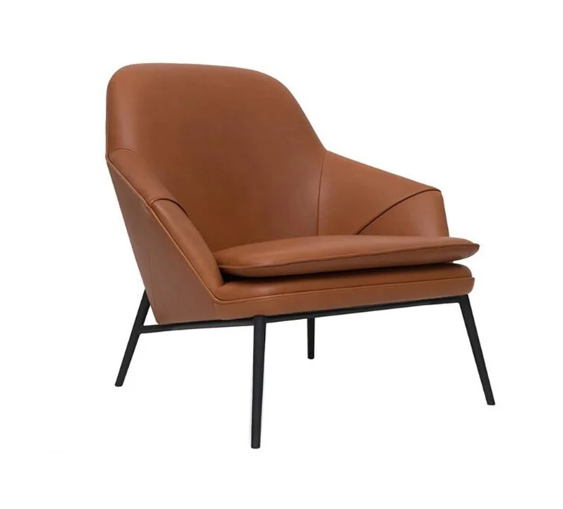 

Sweden Design Lounge Chair with Cushion and Armrest