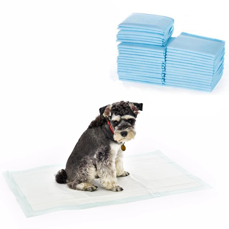 kitten training pads
