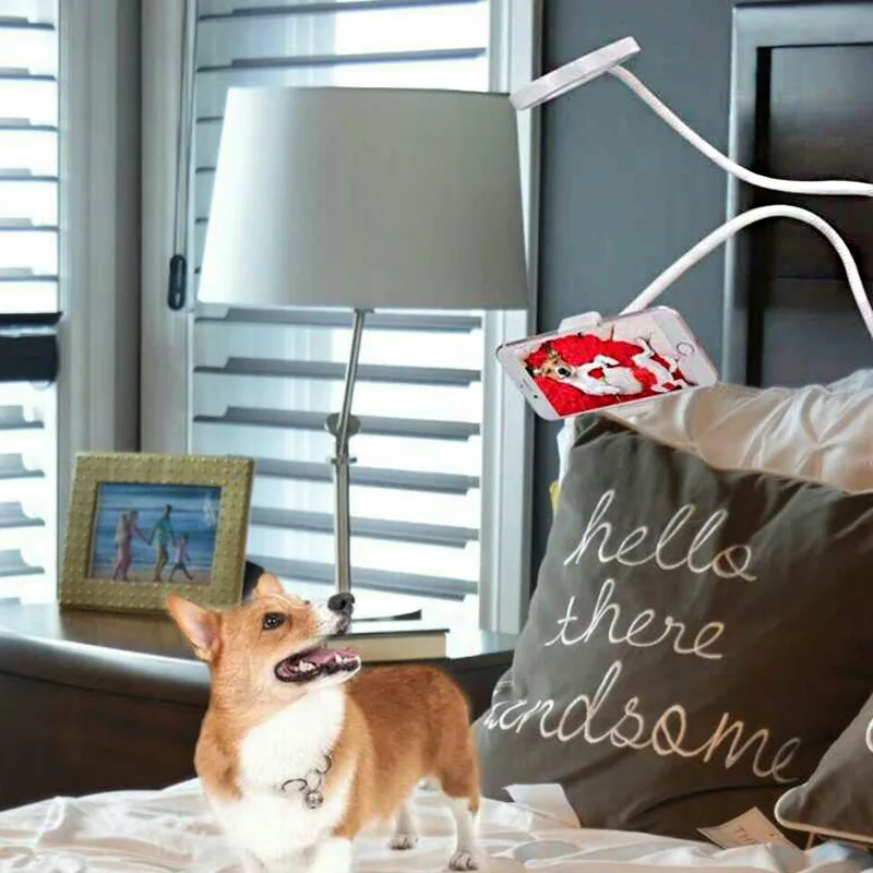 

Phone Holder Clip Stand With Selfie Ring Light LED Desk Lamp for Live Stream Lazy Bracket HSJ-19