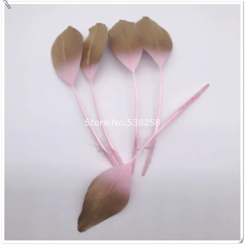 conew_img_7914_conew1