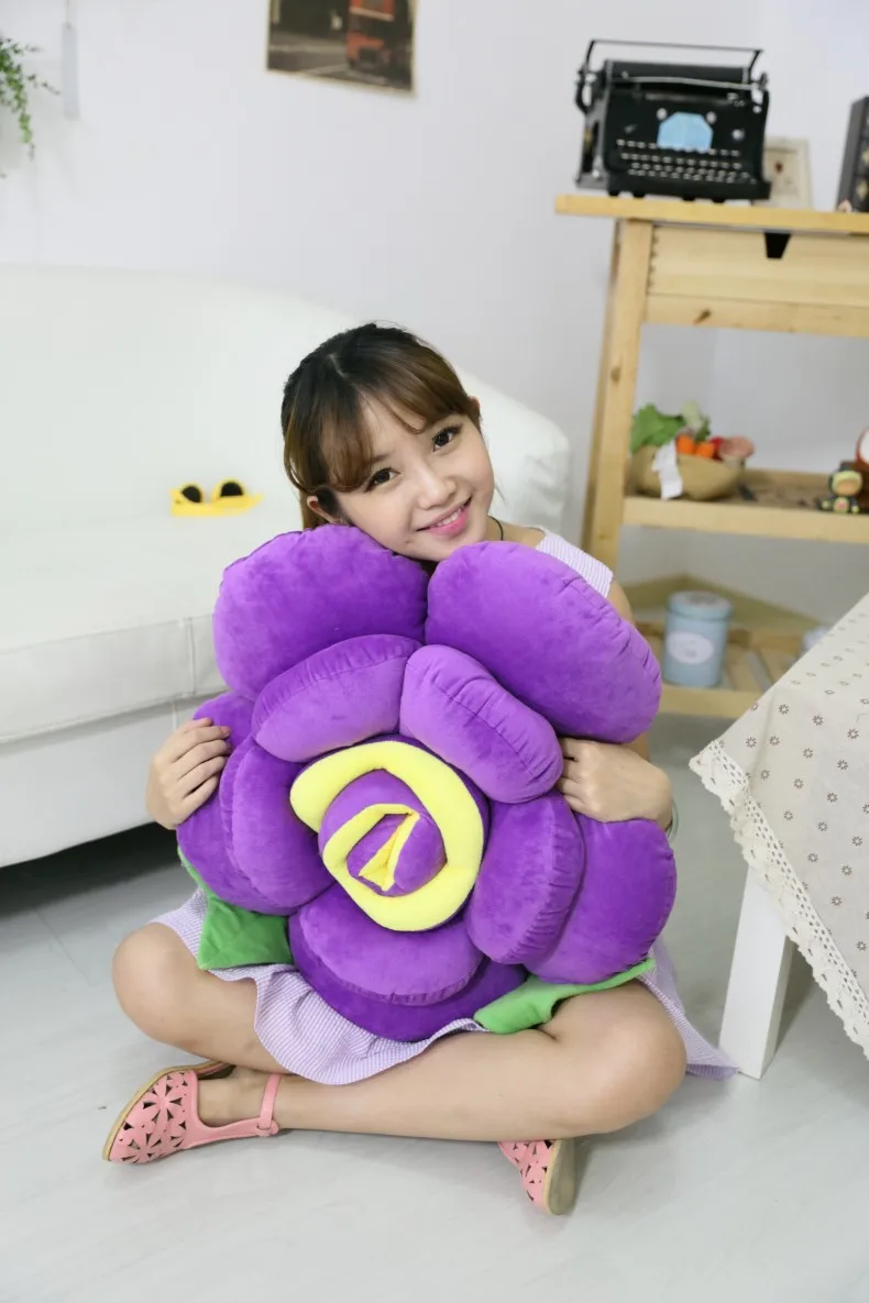 DPP_455_conew1