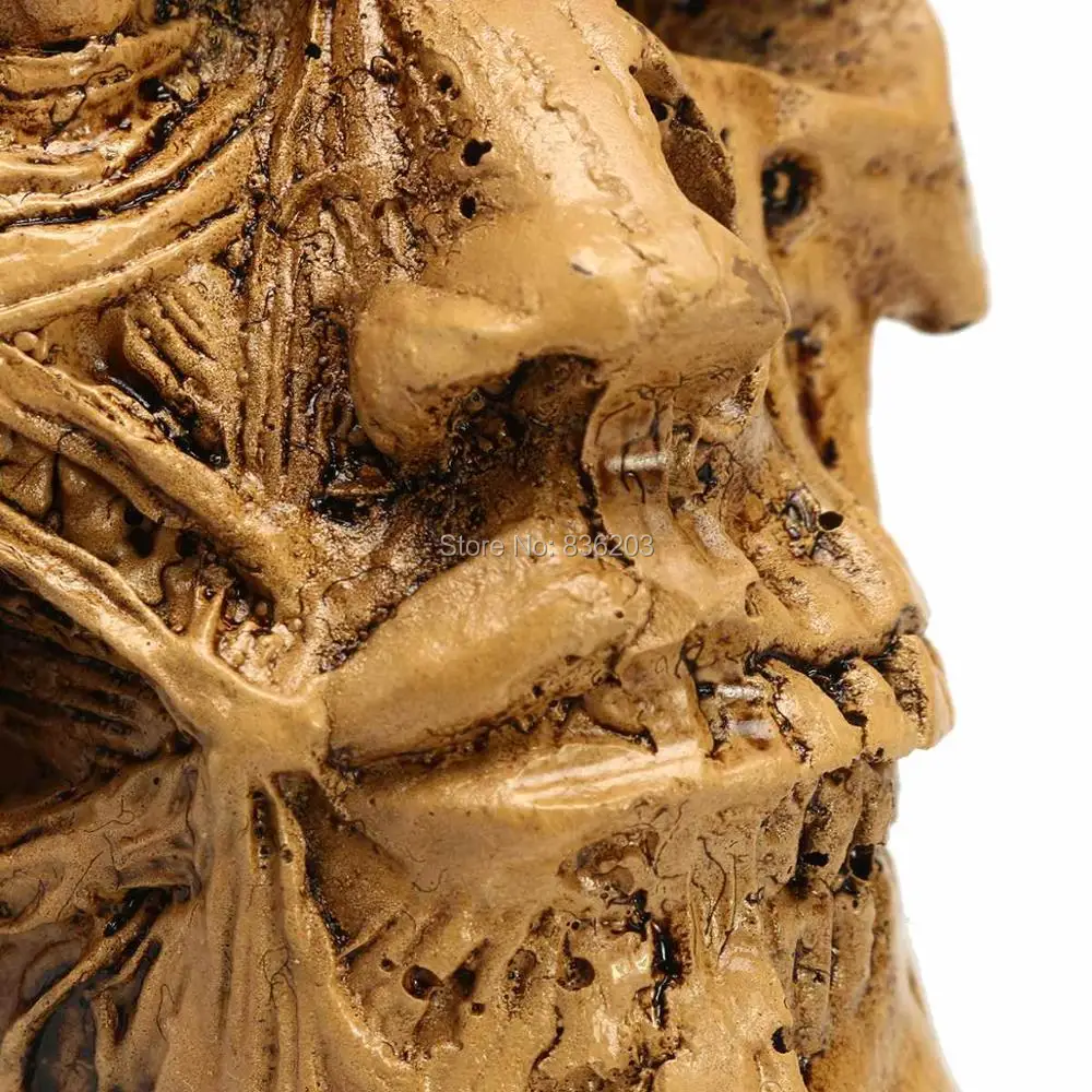 Человеческий череп для изучения анатомии смоляная модель анатомическая медицинская обучение Скелет голова мышцы Анатомия мужской член