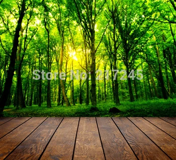 

Art Fabric Photography Backdrop Scenery Custom Photo Prop backgrounds 5ftX7ft D-3326