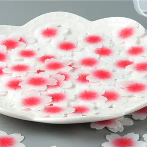 Lot de 12/ d/écorations de g/âteau comestibles en sucre Insectes du jardin