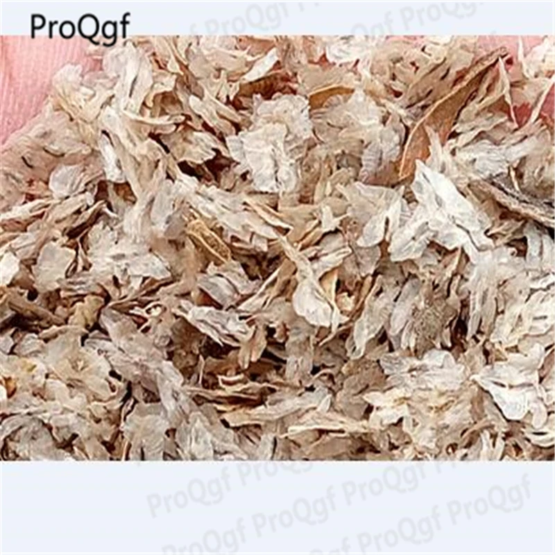 

ProQgf 1Pcs A Set Fashion Craft shengqian