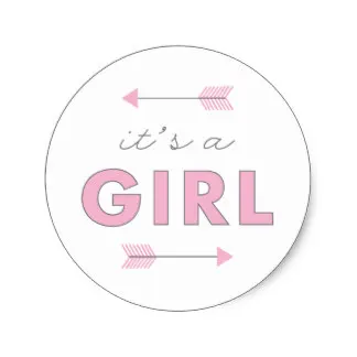 

3.8m It's a Girl Arrow Baby Shower Birth Announcement Classic Round Sticker