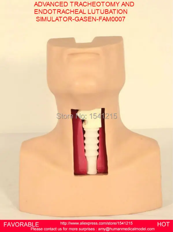 

DSENIOR ENDOTRACHEAL INTUBATION TRAINING TRACHEOTOMY MANIKIN,TRACHEOTOMY AND ENDOTRACHEAL LUTUBATION SIMULATOR GASEN-FAM0007