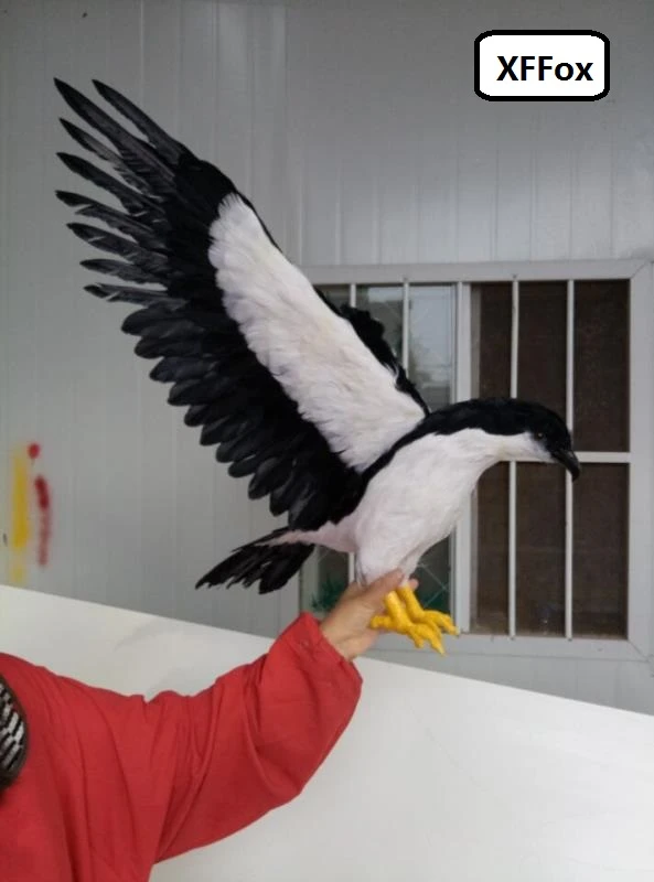 Jouet En Forme D Aigle Noir Et Blanc Simulation D Ailes Enormes Modele En Mousse Et Plume Cadeau D Environ 50x100cm Xf0934 Aliexpress