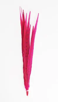 

Free shipping 100pcs 40-45cm pheasant tail Feather hot Pink Dyed Ringneck pheasant Feathers