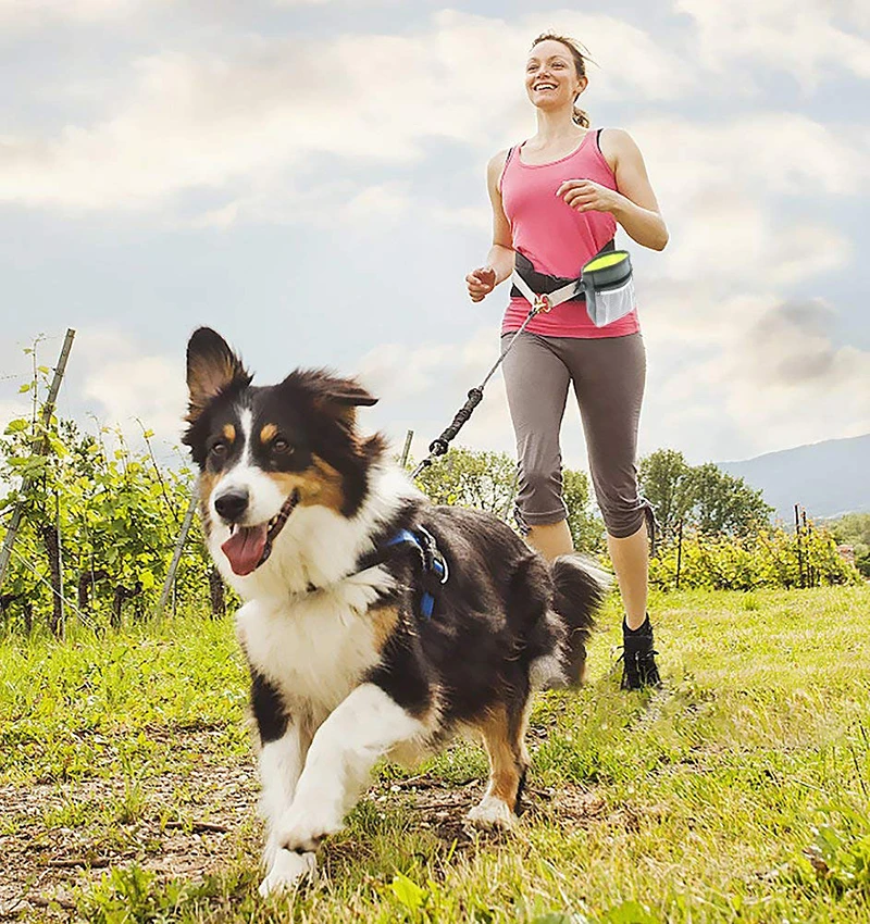 Benepaw Dog Treat Bag With Built-in Poop Bag Dispenser Handsfree Pet Dog Training Pouch Adjustable Strap for Walking Running