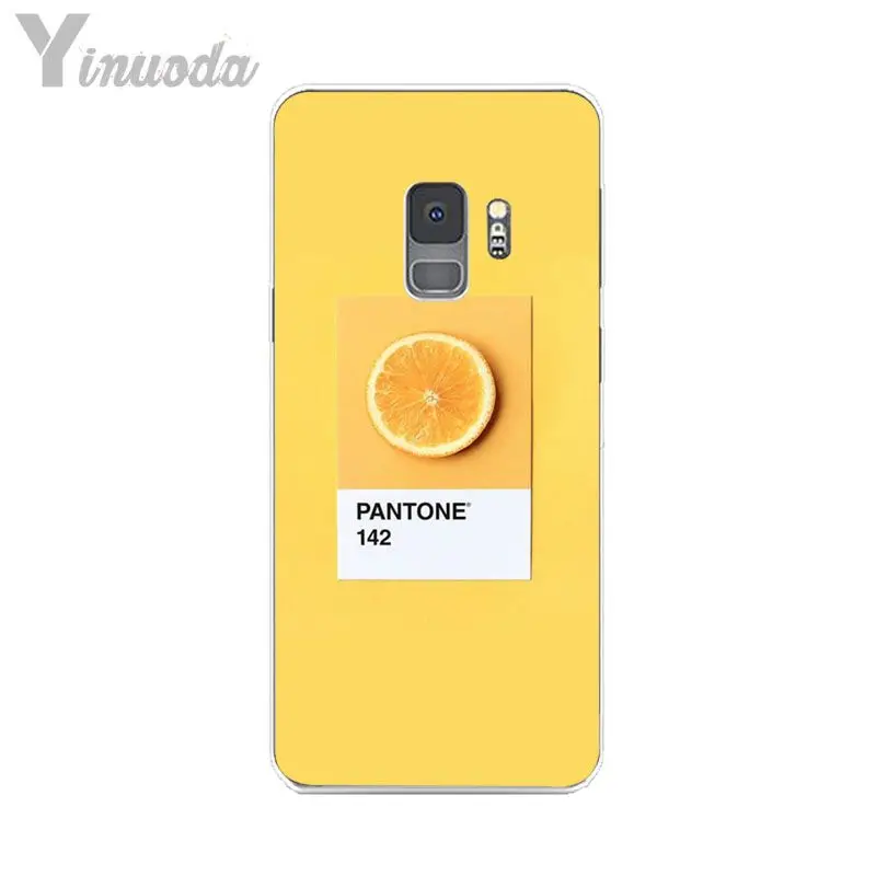 Pantone Candy Color Art
